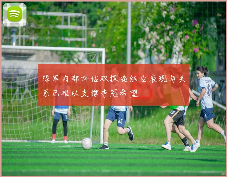 绿军内部评估双探花组合表现与关系已难以支撑夺冠希望