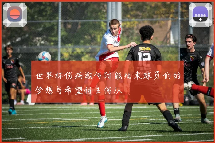 世界杯伤病潮何时能结束球员们的梦想与希望何去何从